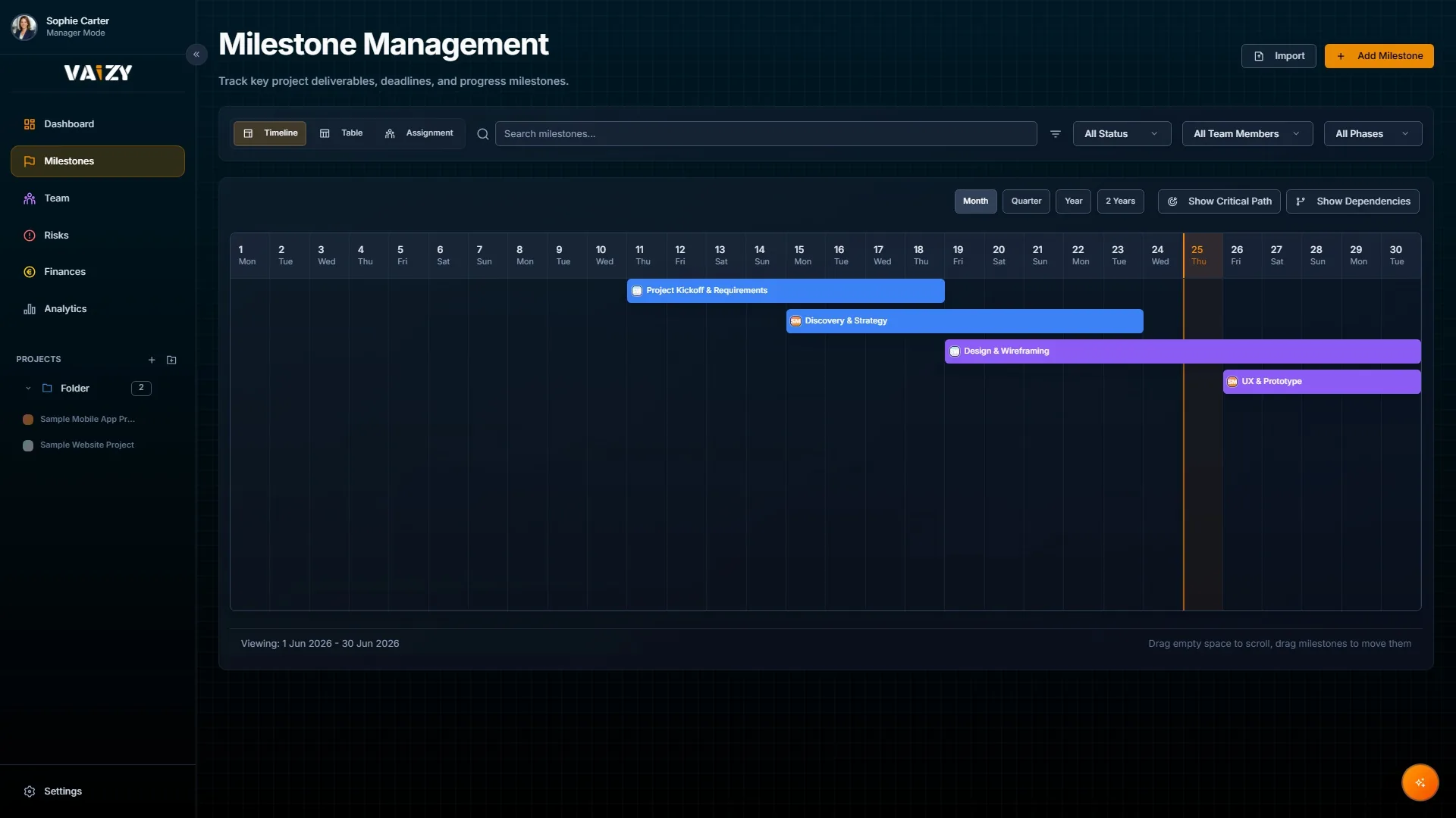 Vaizy delivery board showing milestones broken into deliverables with owners and due dates.